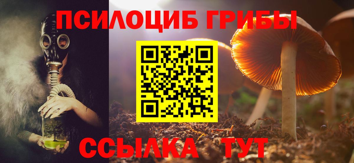 Галлюциногенные грибы Cubensis  Вход с VPN  Отрадный  Псилоцибиновые грибы ЛСД 